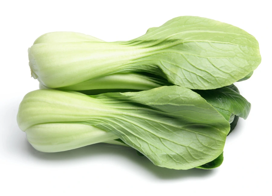 Pak Choy fresh quality product supplier Maldives