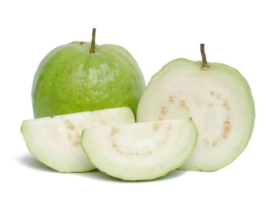 Guava fresh quality product supplier Maldives