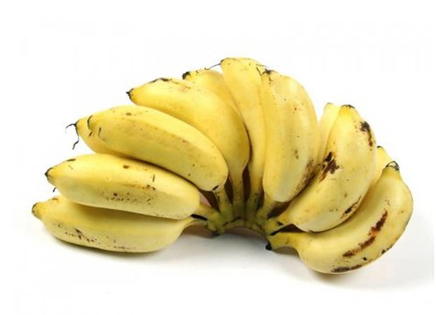 Seeni Banana fresh quality product supplier Maldives