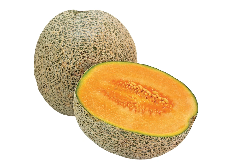 Cantaloupe fresh quality product supplier Maldives