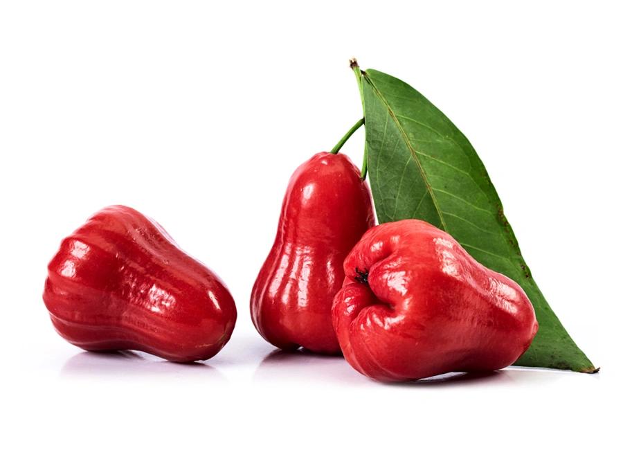 Rose Apple Sri Lanka fresh quality product supplier Maldives